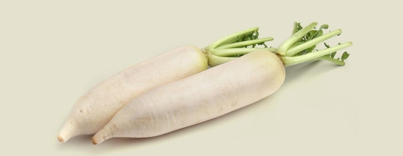 Nabo daikon 2